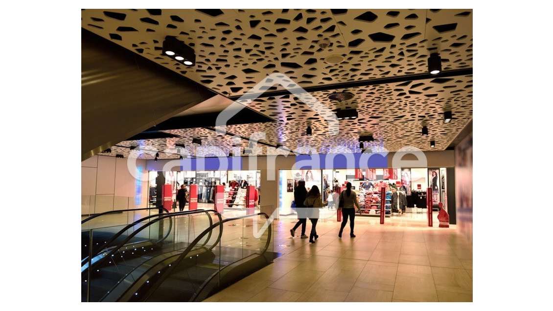 Murs commerciaux loués à vendre à Thonon les Bains