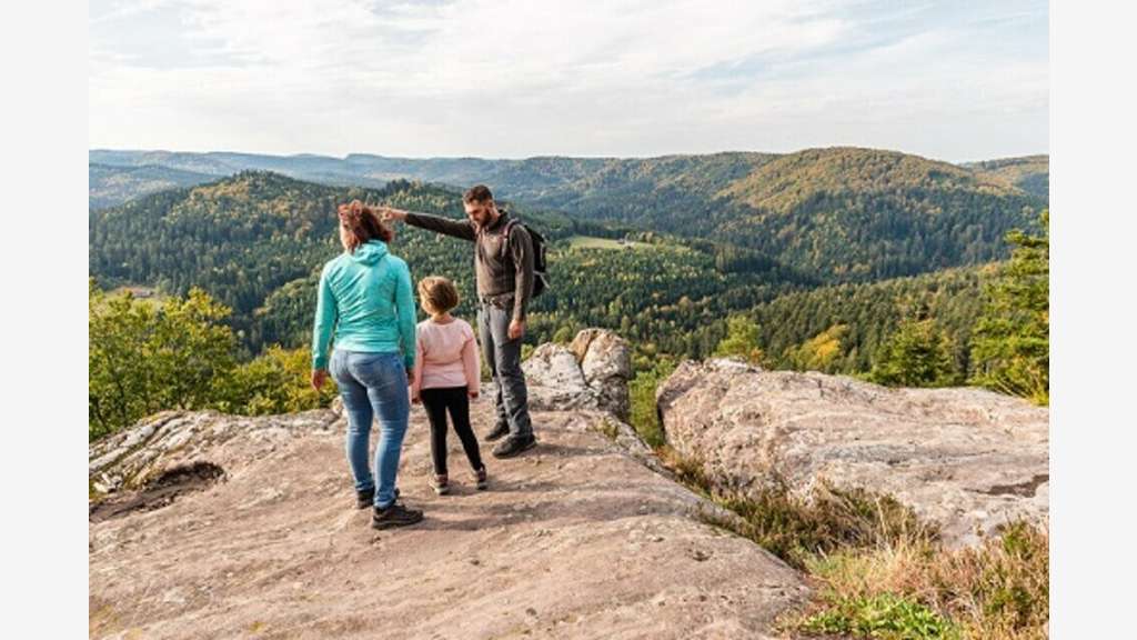 Vente terrain tourisme 30000m² à Dabo