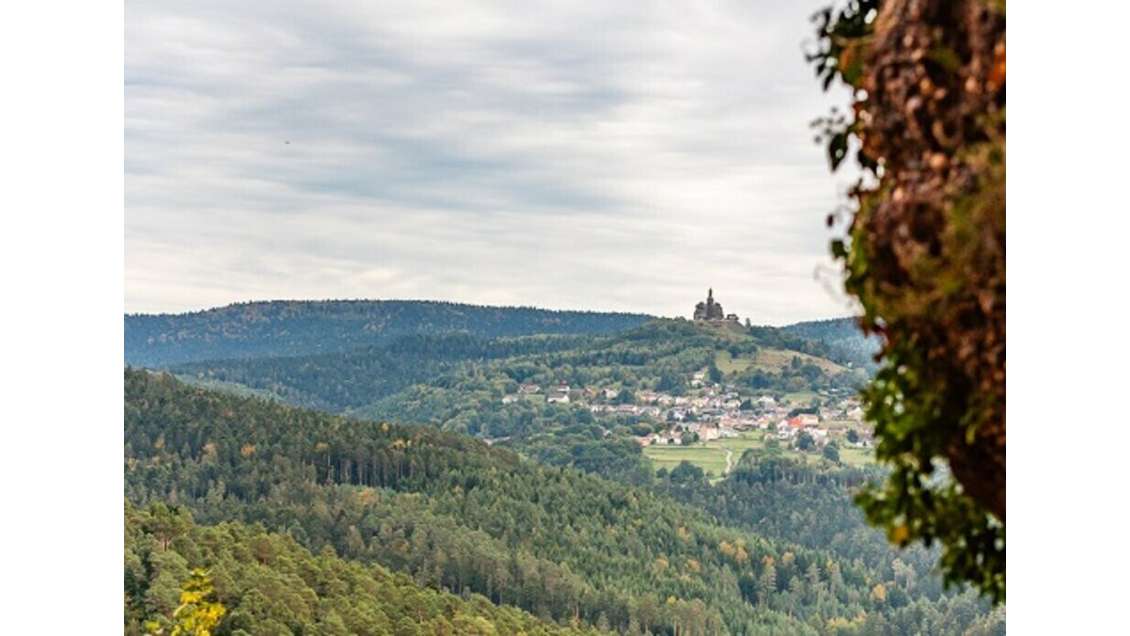 Vente terrain tourisme 30000m² à Dabo