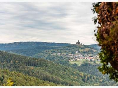 Vente terrain tourisme 30000m² à Dabo