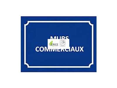 Vente Locaux commerciaux - Boutiques à Royan