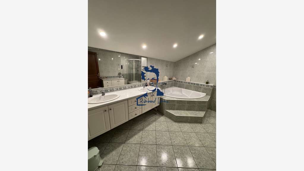 Vente murs commerciaux de 392m² à Chehéry