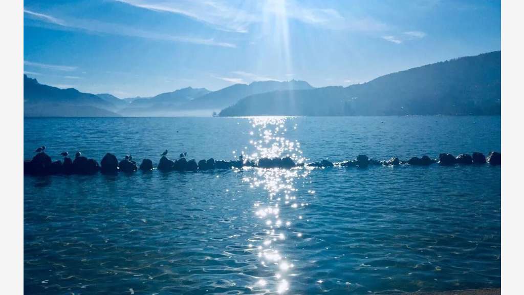 Vente local commercial de 180m² à Annecy