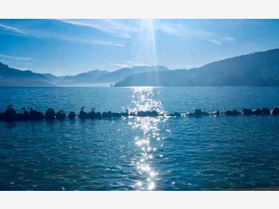 Vente local commercial de 180m² à Annecy