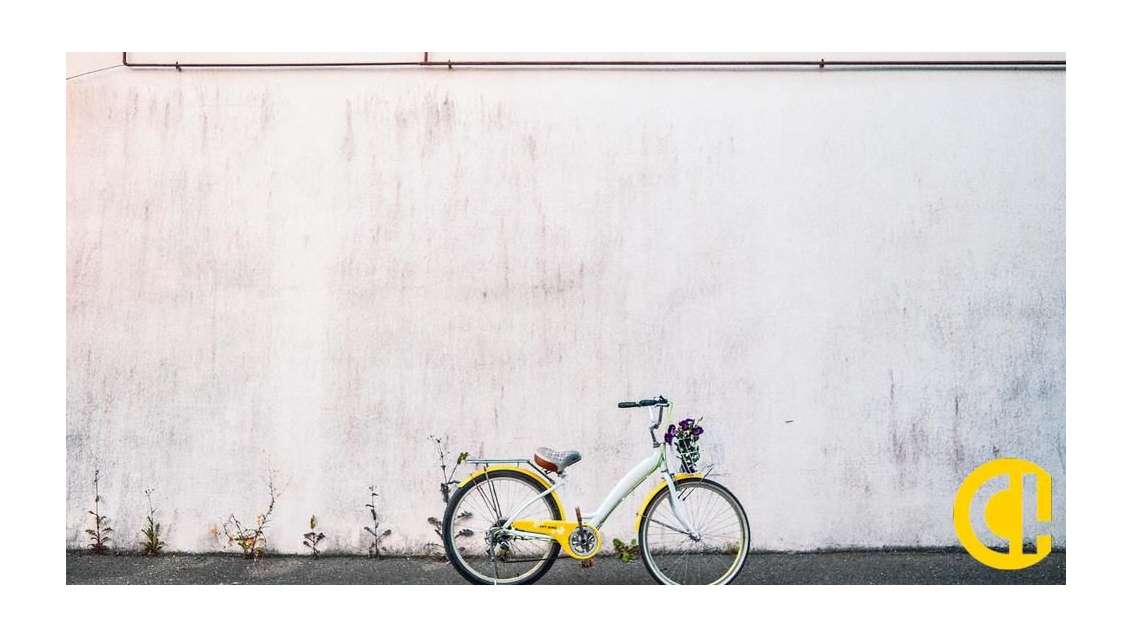 Vente murs libres 850m² en bords de Saône Trévoux