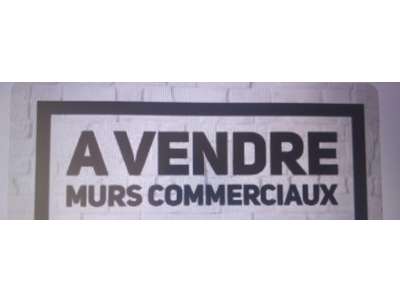 Vente Immeubles commerciaux / Mixtes à Saint-Hilaire-sur-Erre