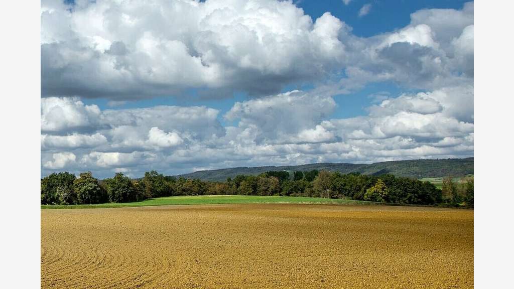 Vente terrains à partir de 26000m² à Courmelles
