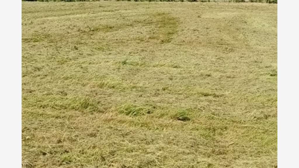 Terrain agricole 2ha à vendre à Heurteauville