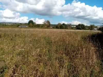 Terrain agricole 2ha à vendre à Heurteauville