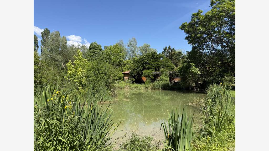 Vente terrain de loisirs unique à Andillac