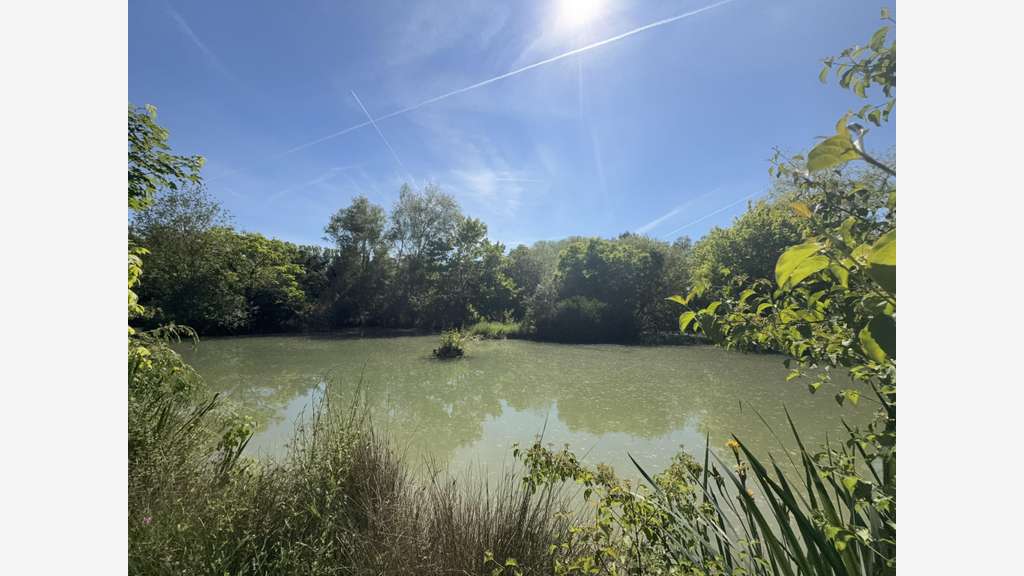 Vente terrain de loisirs unique à Andillac