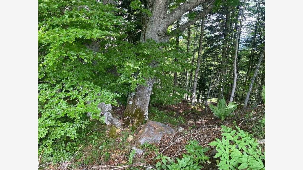 Terrains à vendre zone AUL et AULS à Montferrier