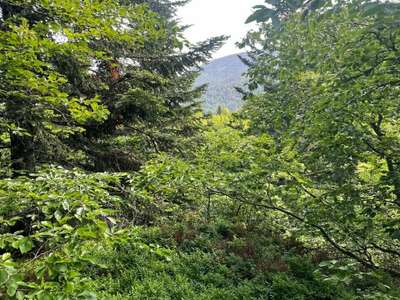 Terrains à vendre zone AUL et AULS à Montferrier