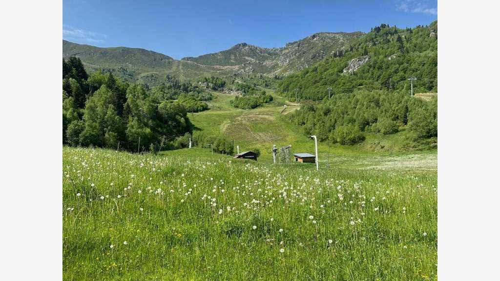 Terrains à vendre zone AUL et AULS à Montferrier