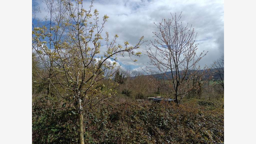 Terrain à vendre 7 578m² Châteauneuf du Faou (29)