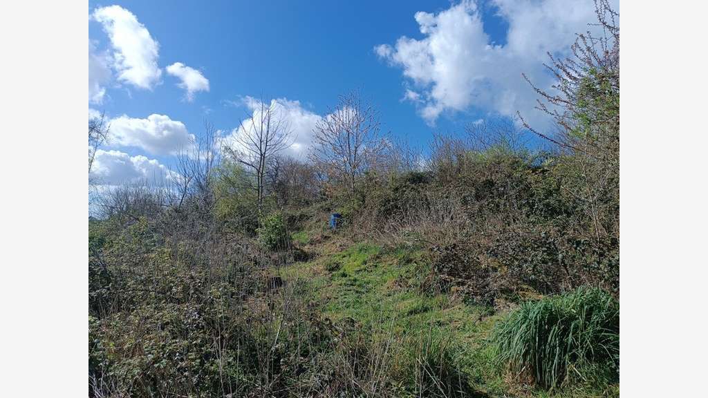 Terrain à vendre 7 578m² Châteauneuf du Faou (29)