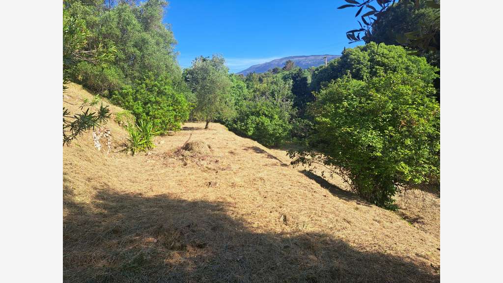 Vente beau terrain à bâtir 1115m² sur St Jacques
