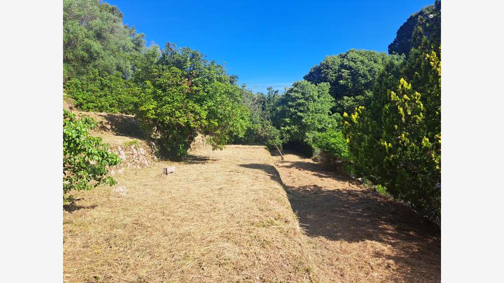 Vente beau terrain à bâtir 1115m² sur St Jacques