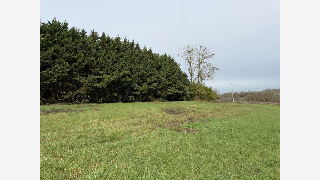 Vente terrain constructible 3300m² à Lugon