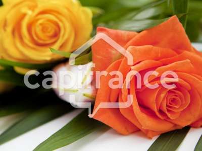 Vente Terrains industriels et agricoles en Mayotte