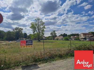 Vente Terrains industriels et agricoles à Naintré