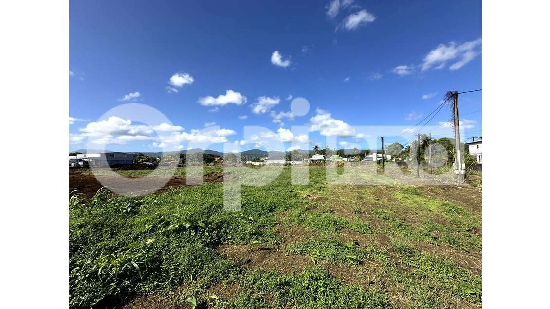 Terrain plat 4507m² à vendre à Sainte-Rose