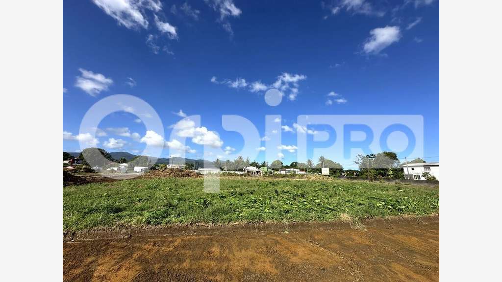 Terrain plat 4507m² à vendre à Sainte-Rose