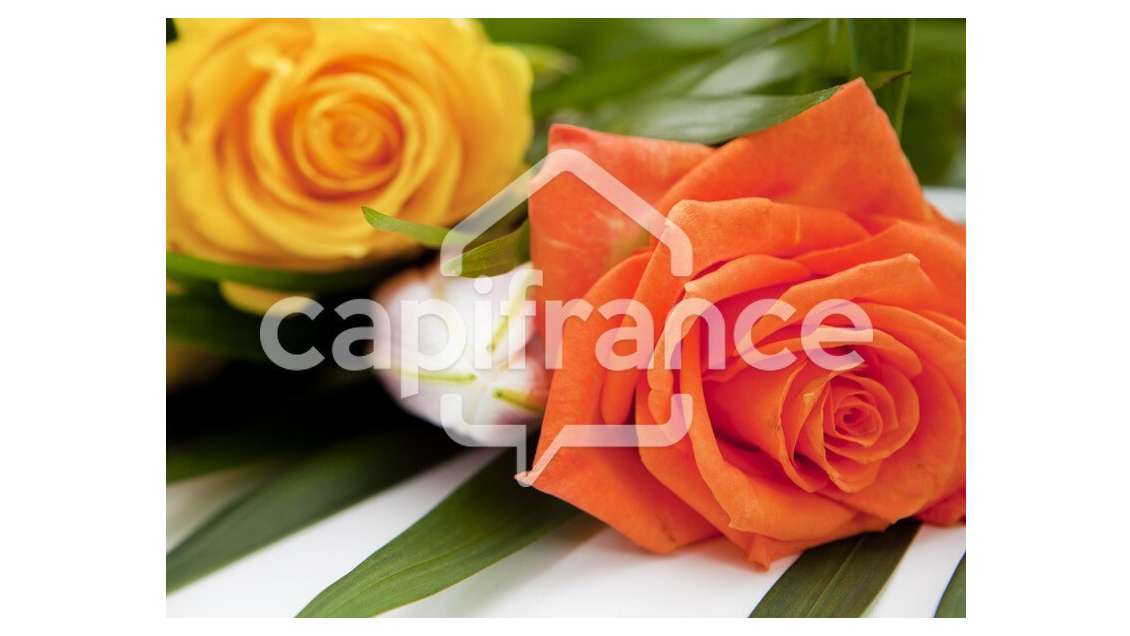 Parcelle 16 ha 75 à 18 ca à vendre à Combani