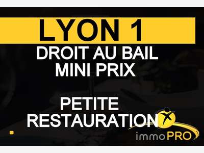 Droit au bail petite restauration 30K€ à Lyon 1er
