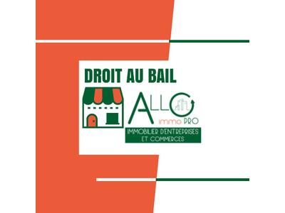 Cession droit au bail Locaux commerciaux - Boutiques à Saint-Pée-sur-Nivelle