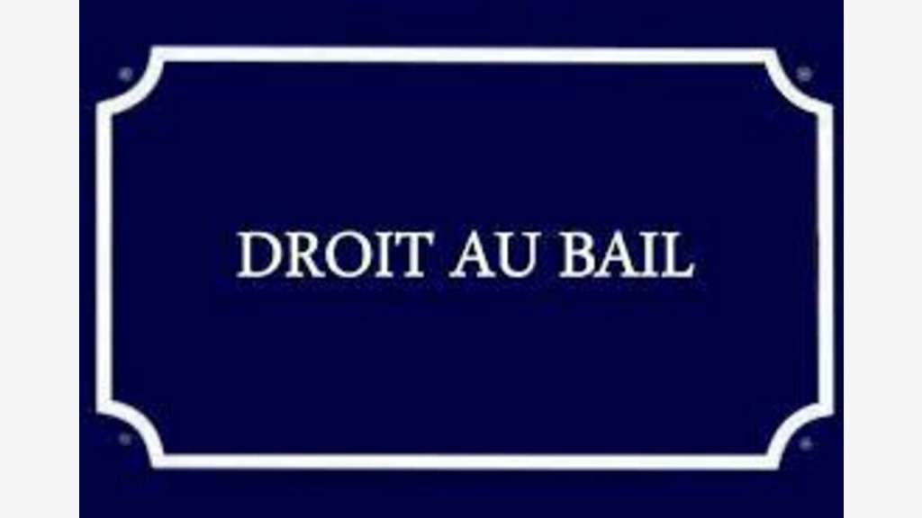 DAB local commercial 50m² empl N°1 à Arles centre
