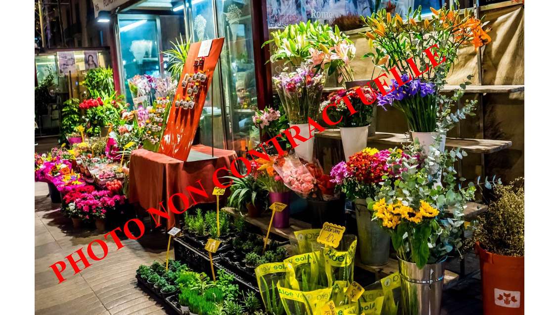 DAB boutique refaite à neuf 60m² à Aix-les-Bains