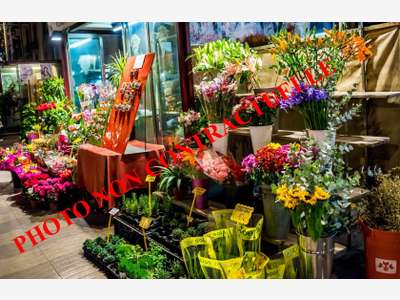 DAB boutique refaite à neuf 60m² à Aix-les-Bains