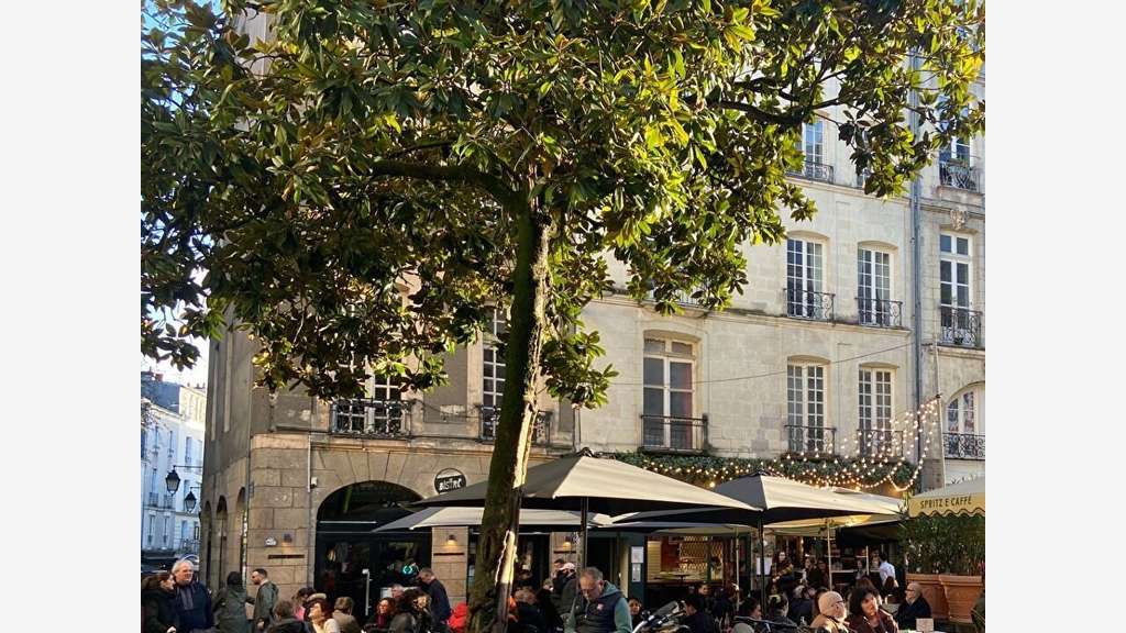 Bail à céder boutique 40m² à Nantes Decré