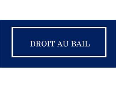Cession droit au bail Locaux commerciaux - Boutiques à Lyon 1er