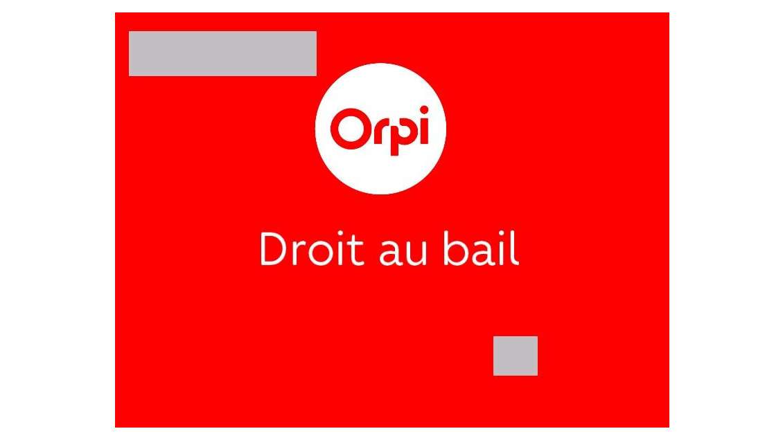 Vente droit au bail local de 81m² aux Vans centre