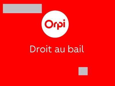 Vente droit au bail local de 81m² aux Vans centre