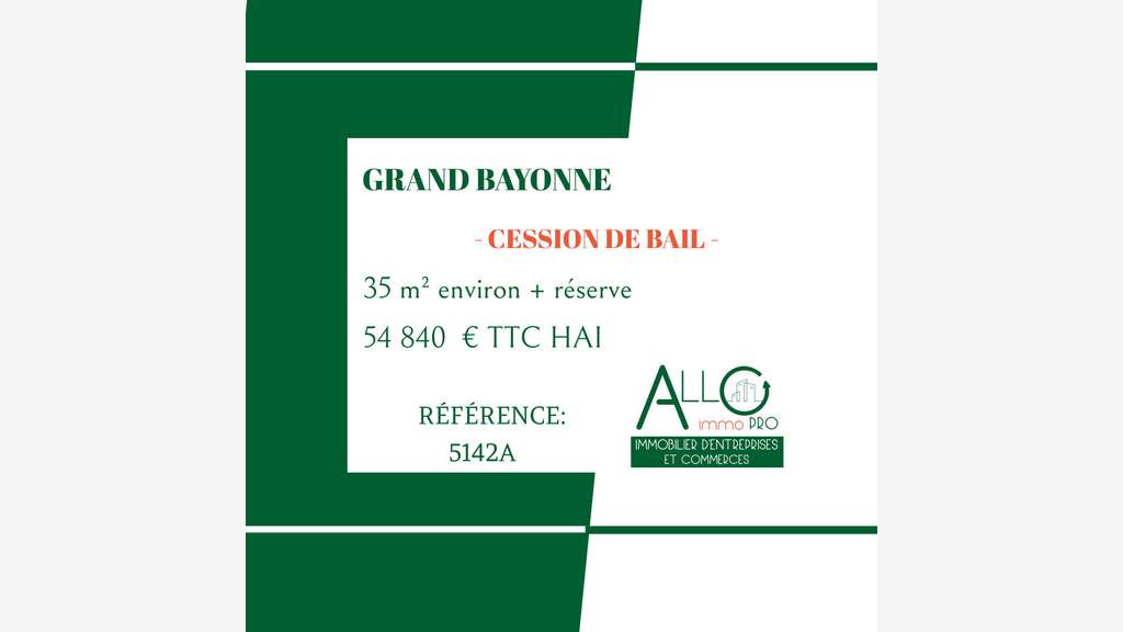 A vendre DAB ,parfait état, grand Bayonne,54 