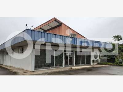 DAB local 410m² avec forte visibilité à Cayenne