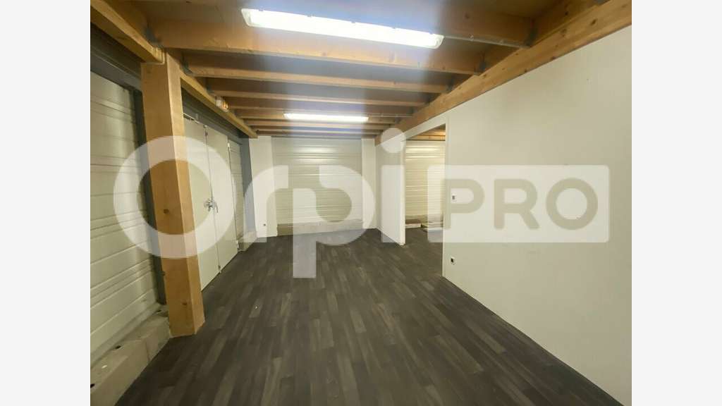 LOCAL D ACTIVITE - GUEREINS - 286m2