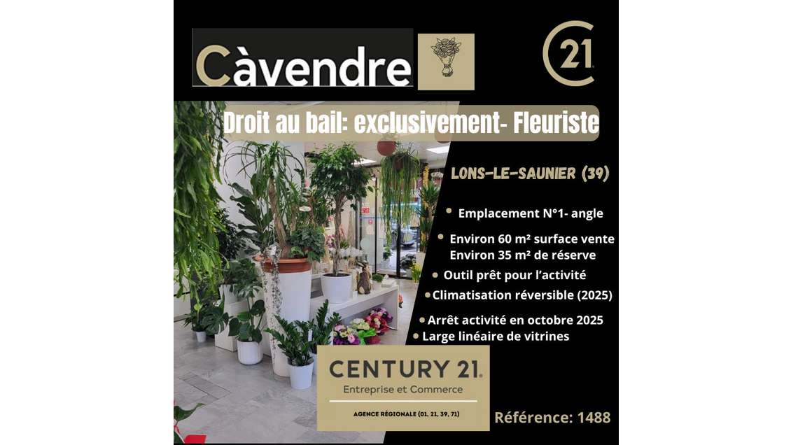 Droit au bail commerce de fleurs à Lons-le-Saunier