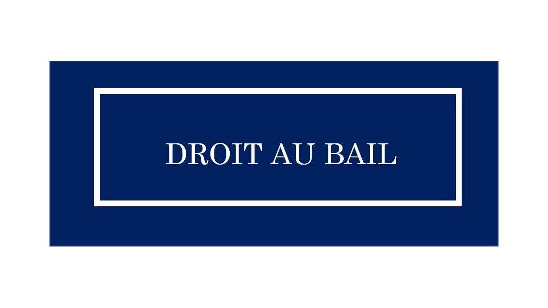 Droit au bail local 80m² Lyon 1 secteur Cordeliers