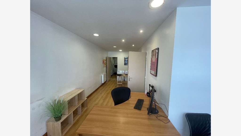 Location local commercial cours Richard Vitton