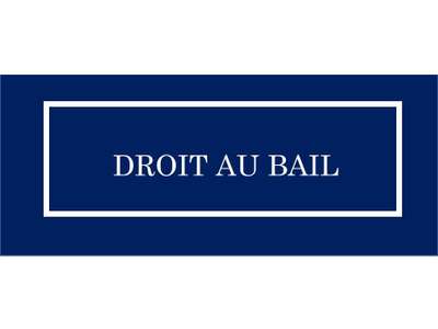 Cession droit au bail Locaux commerciaux - Boutiques à Lyon 5e