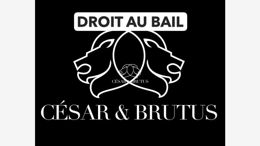 Cède bail local commercial de 59m² à Lyon 69006