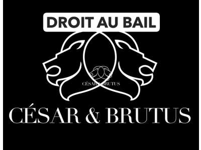 Cession droit au bail Locaux commerciaux - Boutiques à Lyon 6e