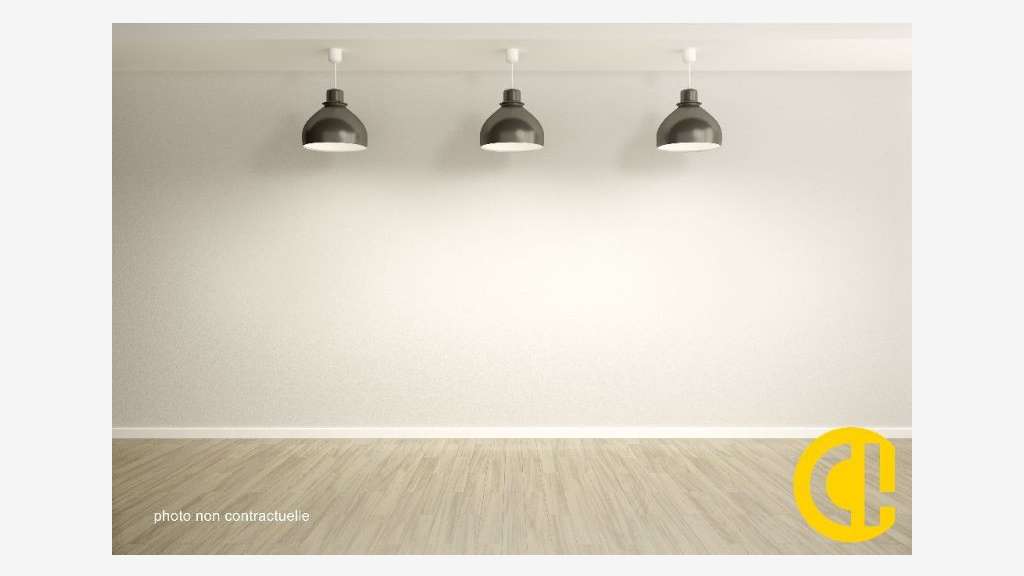 Cession local angle 100m² empl N°1 Lyon 7e