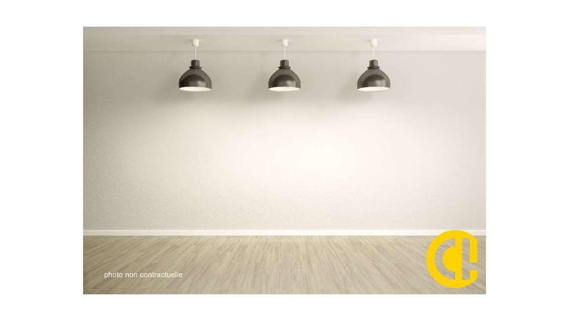 Cession local angle 100m² empl N°1 Lyon 7e