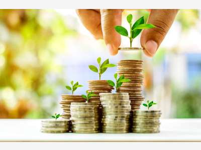 Murs en placement financier dans les Landes