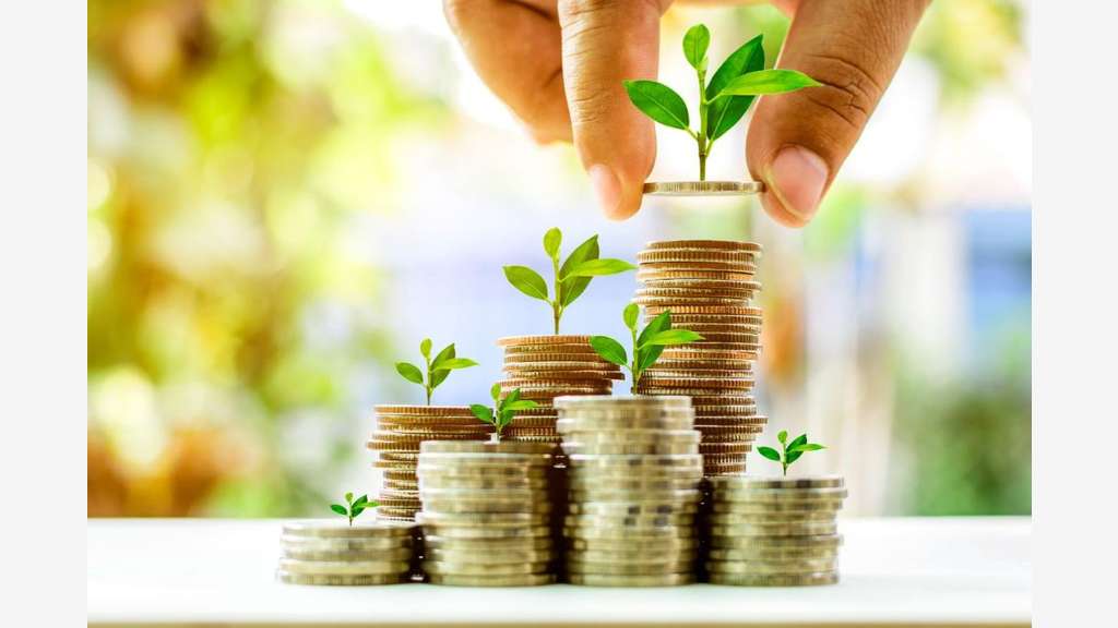 Murs en placement financier dans les Landes